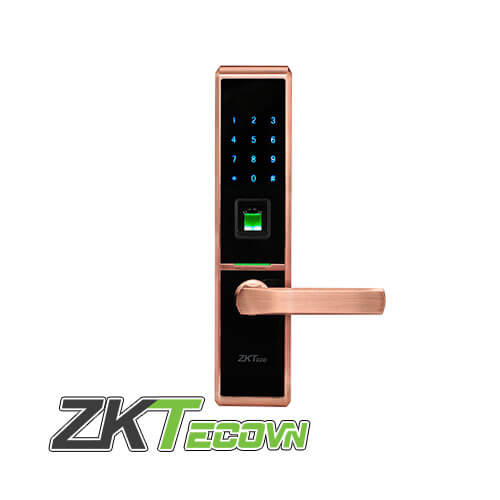 Đèn dùng năng lượng mặt trời Khóa cửa bằng vân tay thẻ ZKTeco TL100,Khóa cửa vân tay bàn phím giao tiếp USB ZKTeco TL100,Khóa cửa vân tay ZKTeco TL100,Khóa Cửa Điện Tử ZKTECO TL100